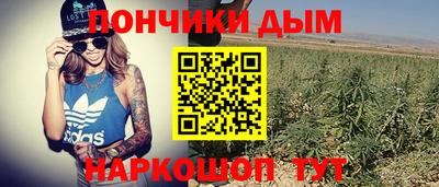 МДПВ Заводоуковск