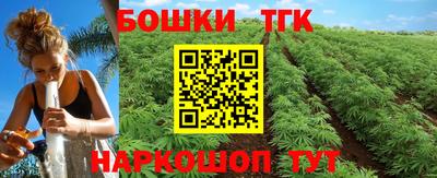 МДПВ Заводоуковск